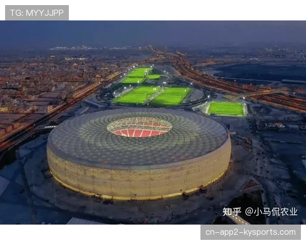 卡塔尔宣布将申办2034年世界杯,承诺采用全新降温科技 卡塔尔宣布将申办2034年世界杯,承诺采用全新降温科技